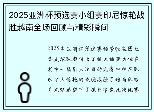2025亚洲杯预选赛小组赛印尼惊艳战胜越南全场回顾与精彩瞬间